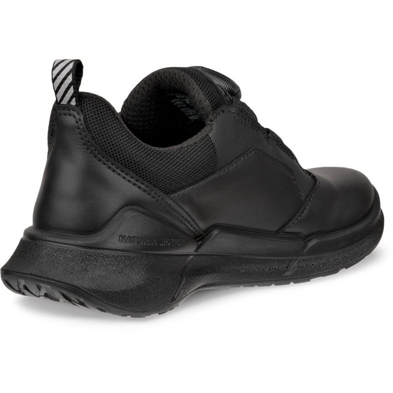 ecco biom 22 k