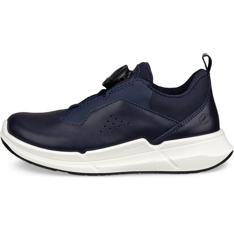 ecco biom 22 k