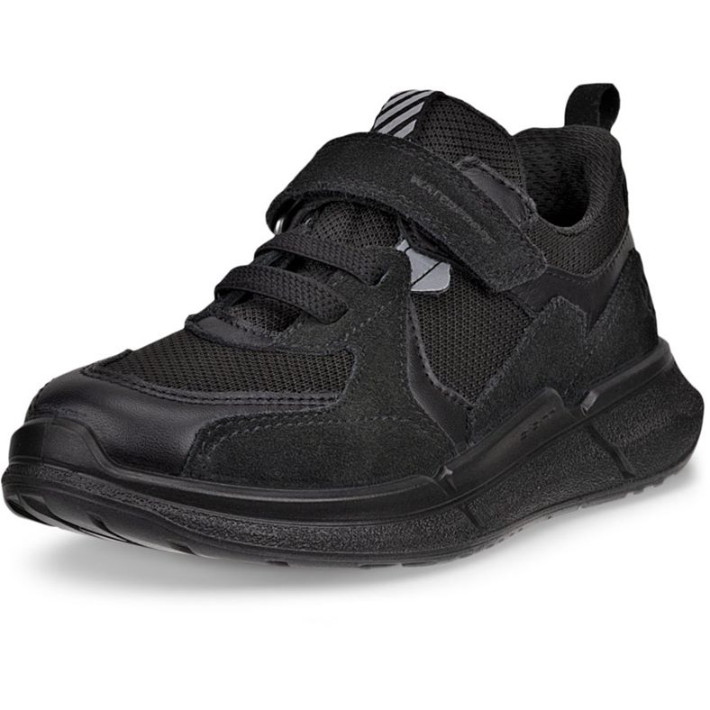 ecco biom 22 k