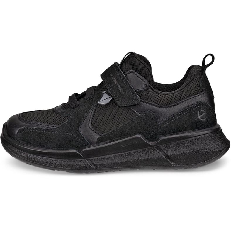 ecco biom 22 k