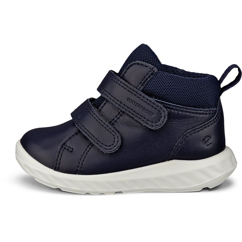 ecco sp.1 lite kinder