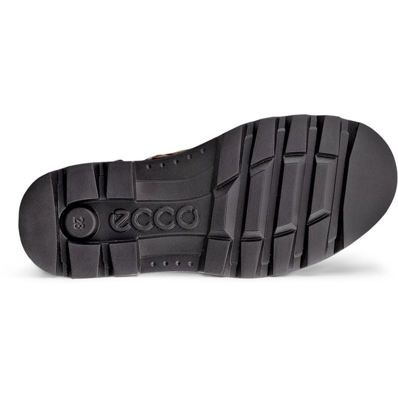 ecco grainer k