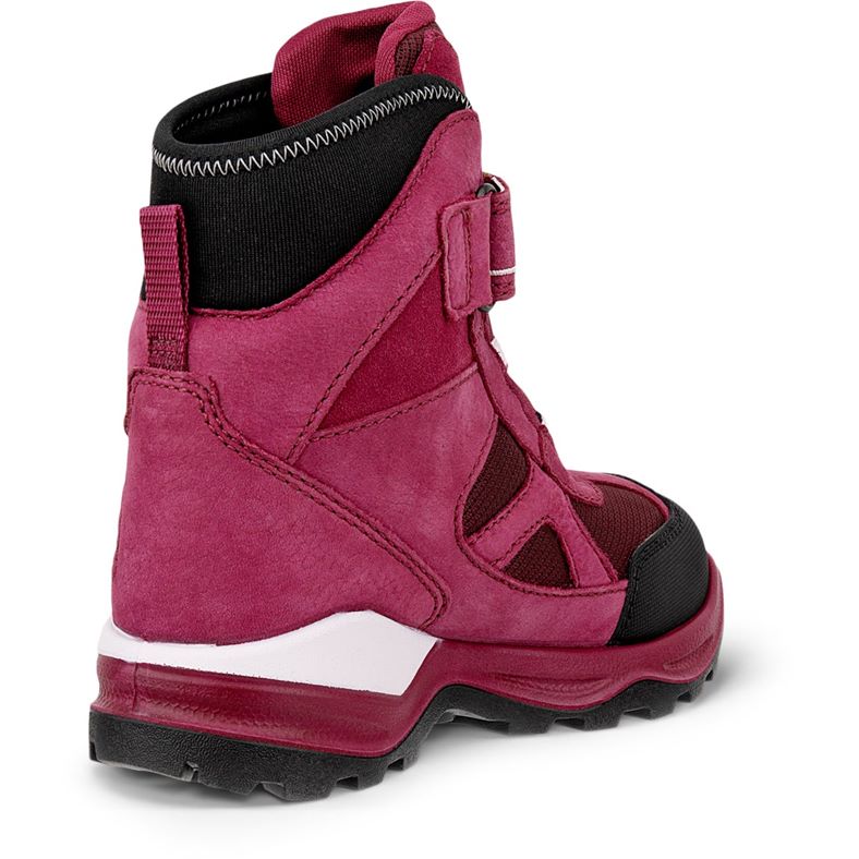 ecco schneeberg