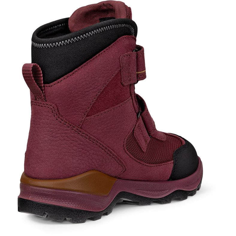ecco schneeberg