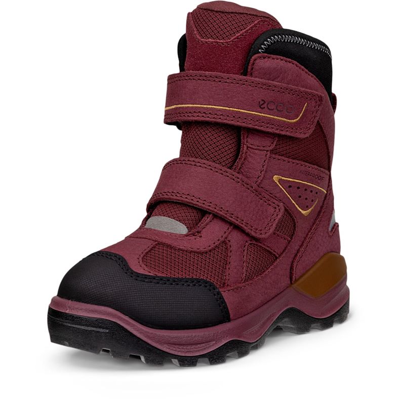 ecco schneeberg