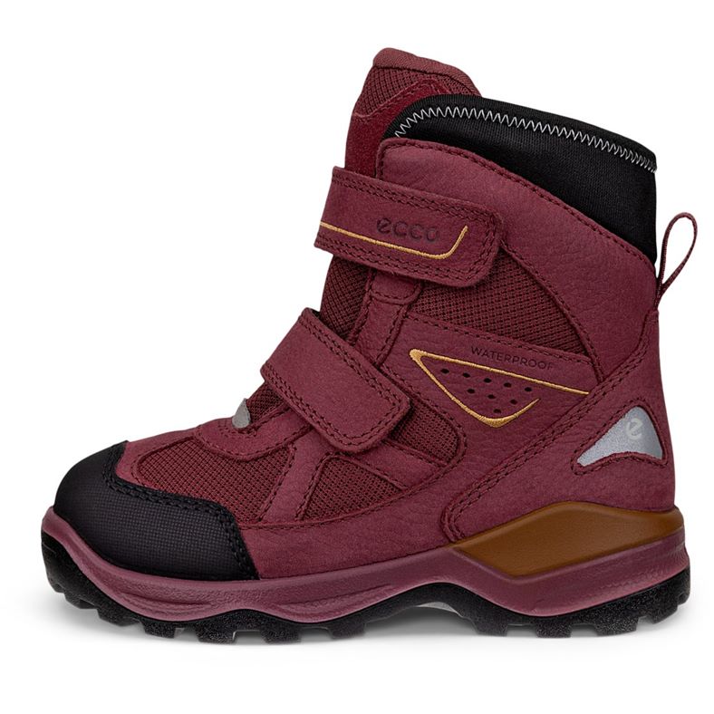 ecco schneeberg