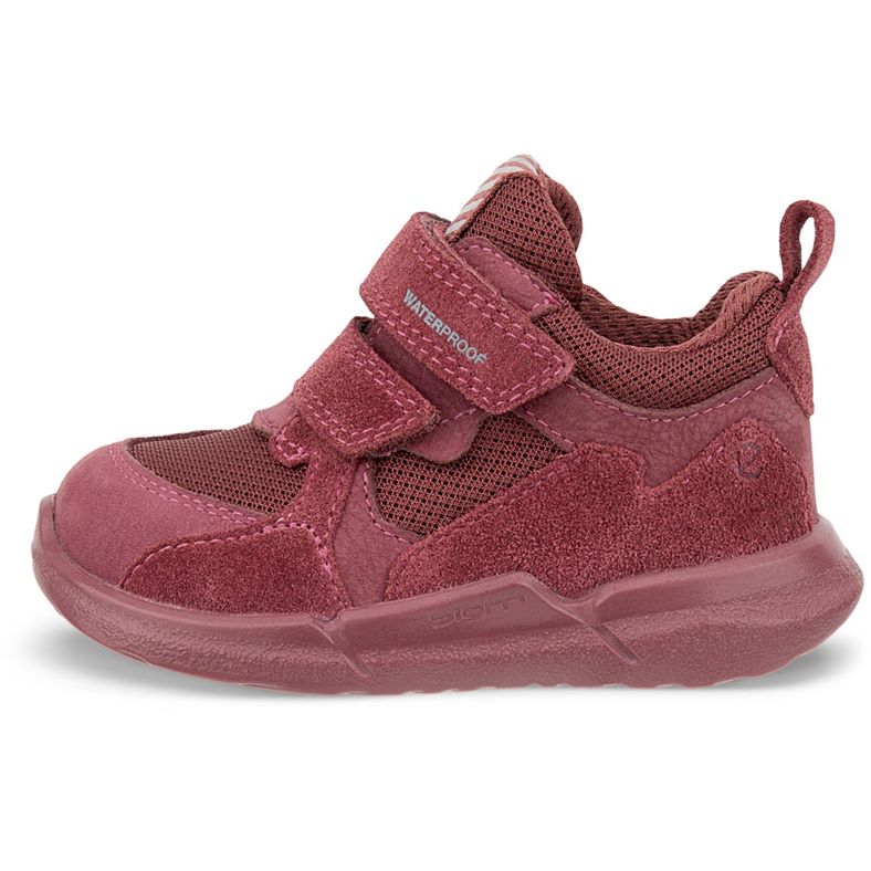 ecco biom 2.2 sÄugling