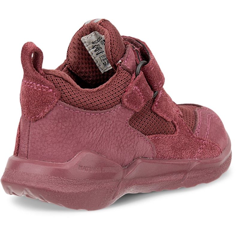 ecco biom 2.2 sÄugling