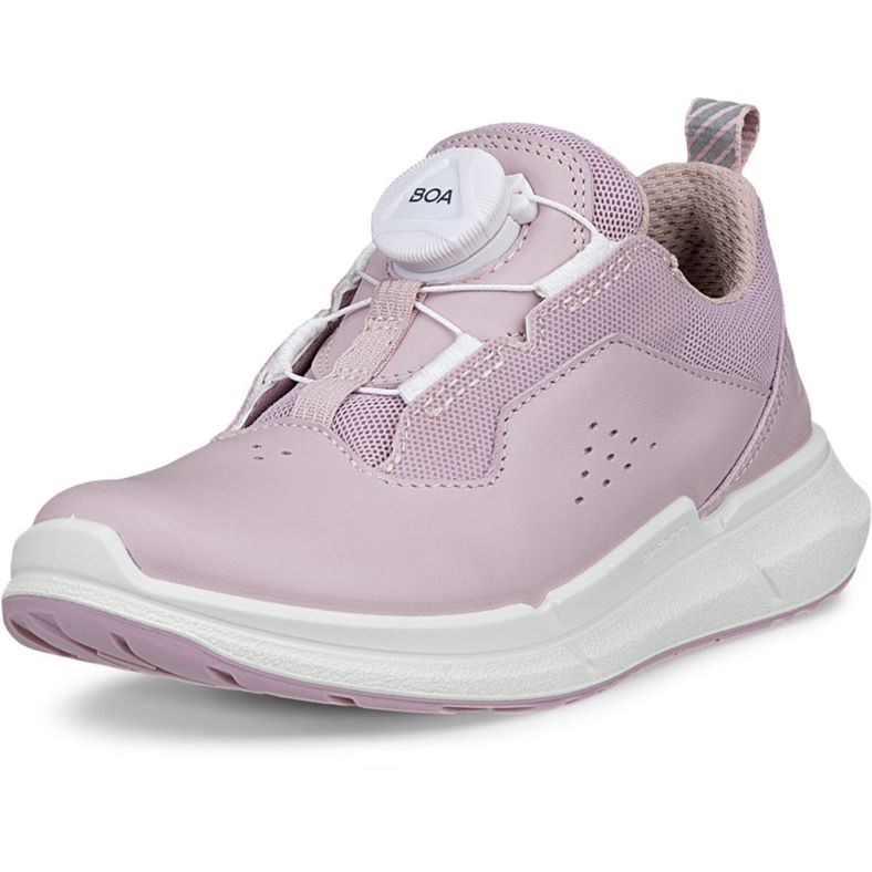 ecco biom 22 k