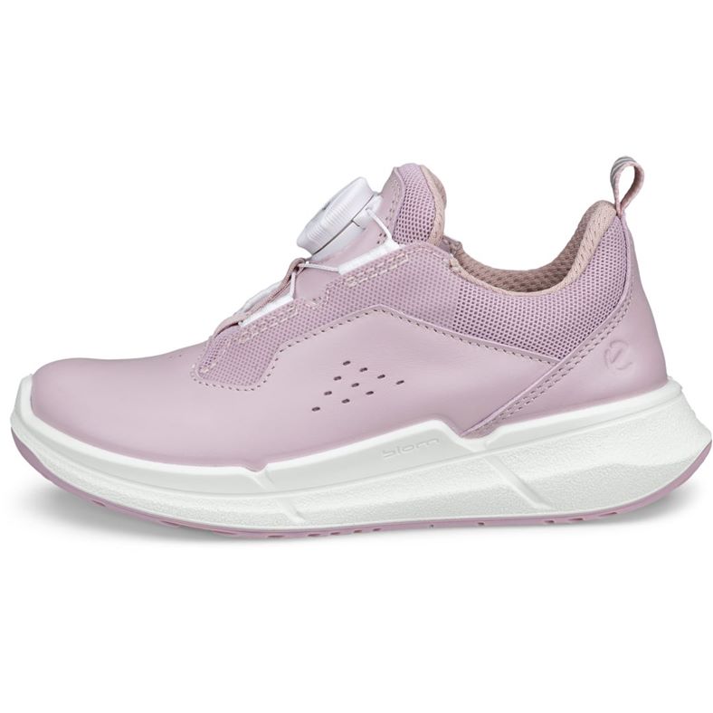 ecco biom 22 k