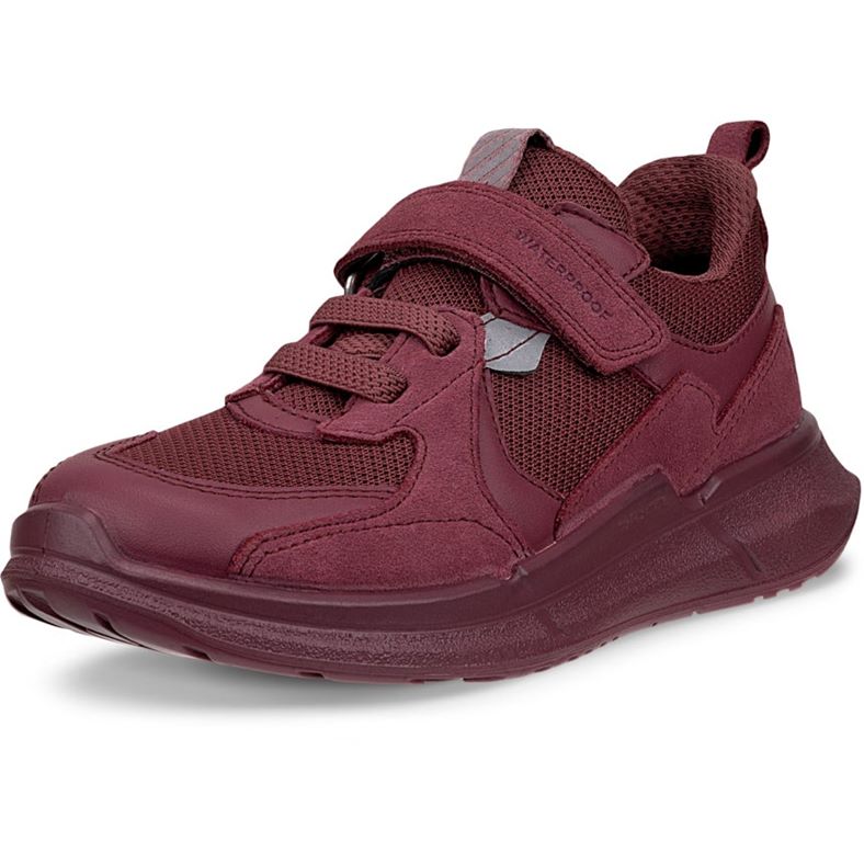 ecco biom 22 k