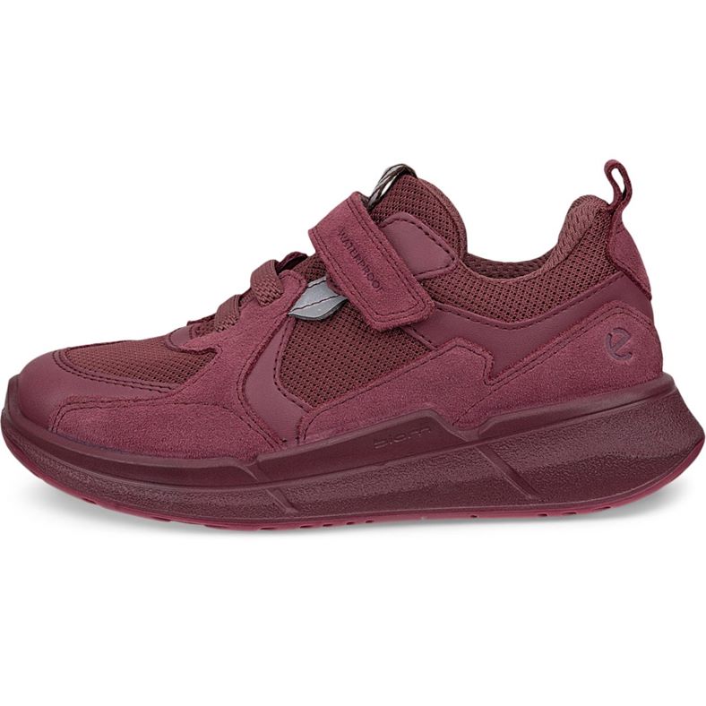 ecco biom 22 k