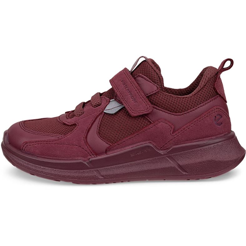 ecco biom 22 k