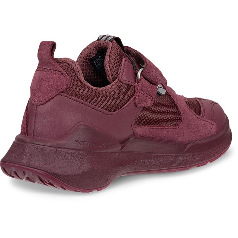 ecco biom 22 k