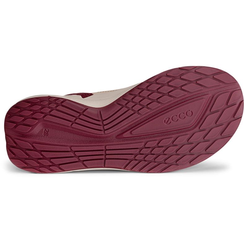 ecco biom 22 k