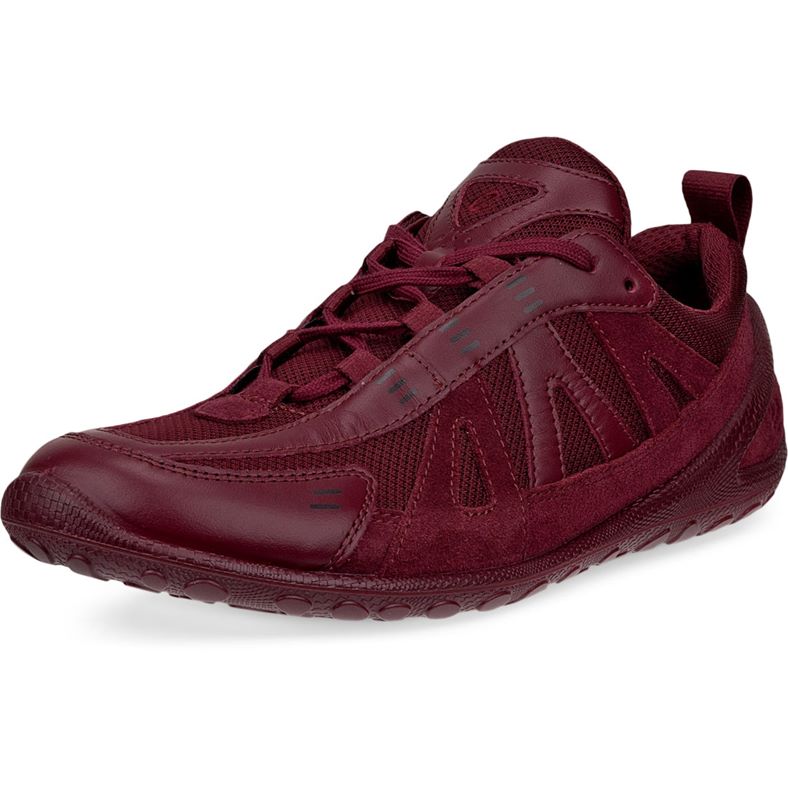 ecco biom lite w