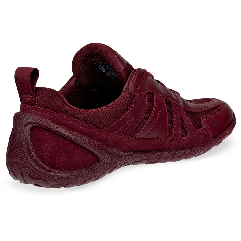 ecco biom lite w