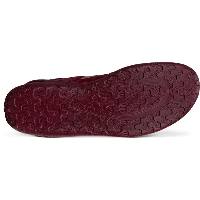 ecco biom lite w