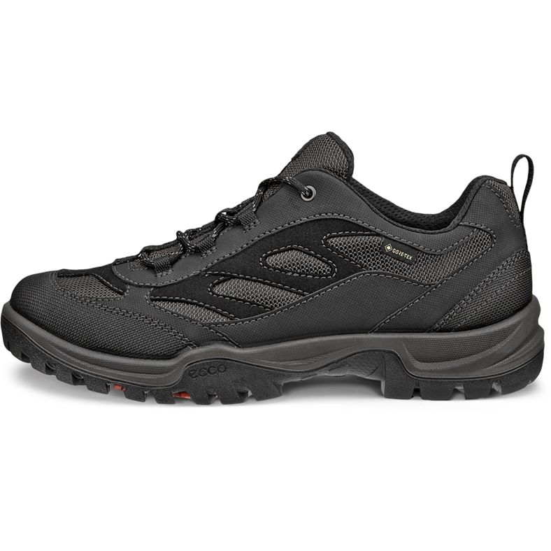 ecco expedition iii w