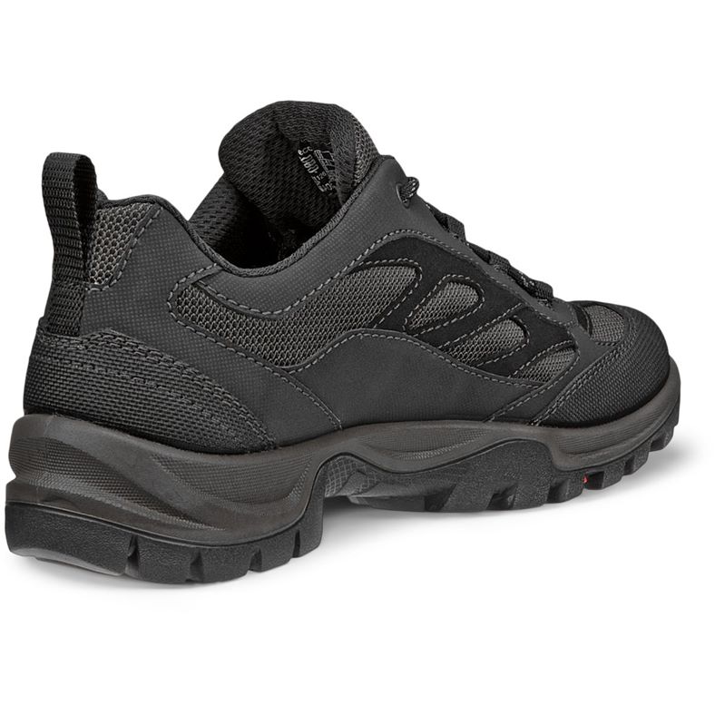 ecco expedition iii w