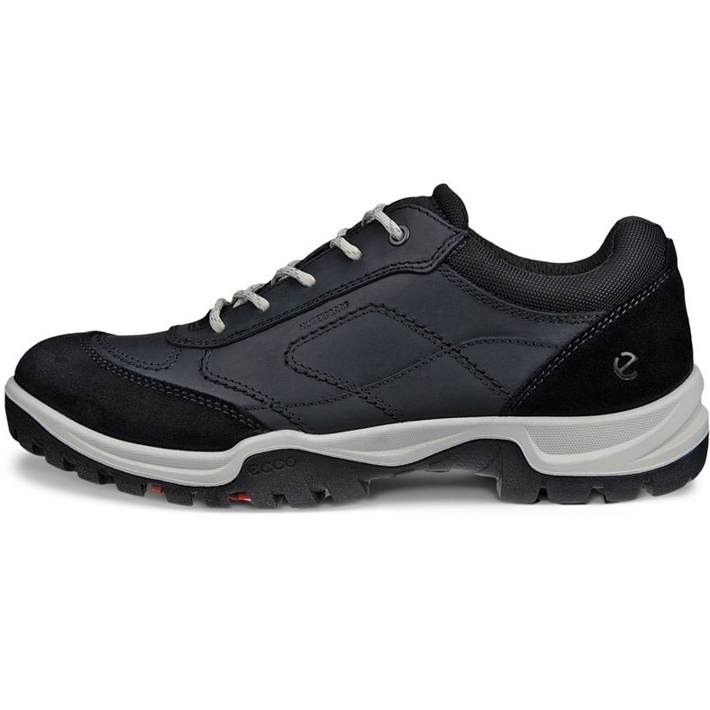 ecco expedition iii w