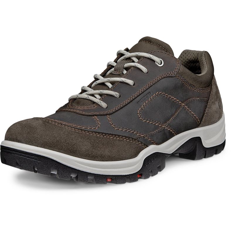 ecco expedition iii w