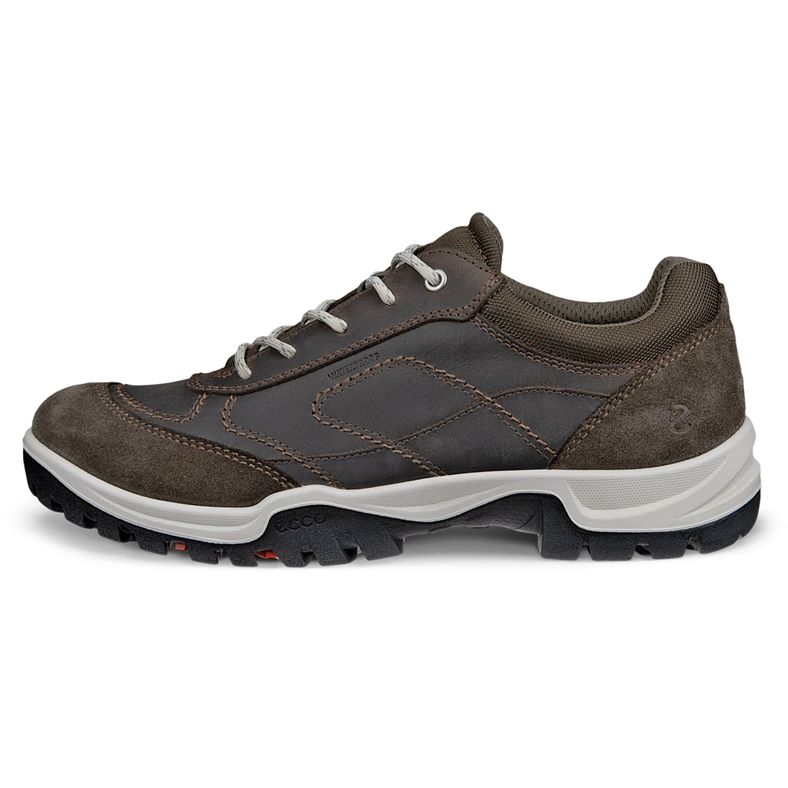 ecco expedition iii w