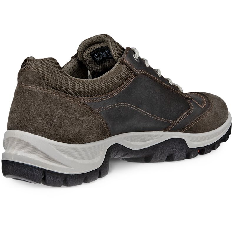ecco expedition iii w