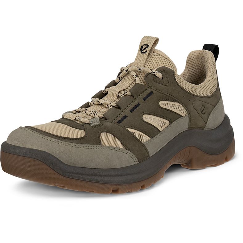 ecco offroad w